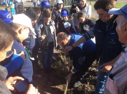 festa_dell_albero