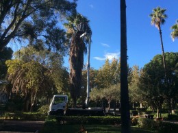 monitoraggio_alberi_villa