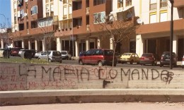 scitta_su_viale_platani