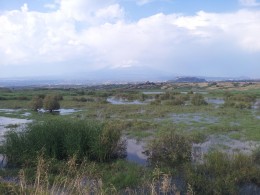 valle_del_simeto