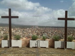Collinastorica