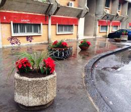 3_2014_12_17_in_via_mauro_mangano