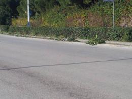 3_2014_12_09_in_via_mauro_mangano