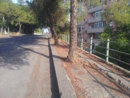 2_2014_08_23_in_via_mauro_mangano